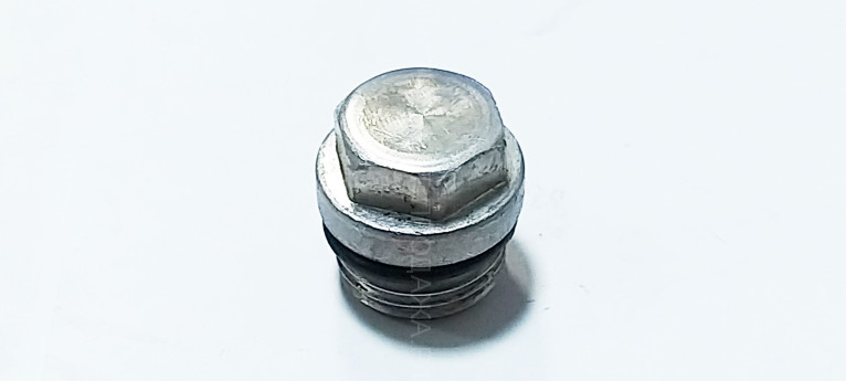 Винт крышки насоса для мойки BORT BHR-2300-Pro      