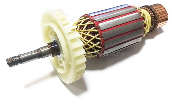 Якорь для УШМ STAVR SAG 28-230SP